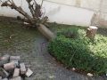 IMG-20200316-WA0005kl