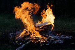 CER51429_DxO5-scaled